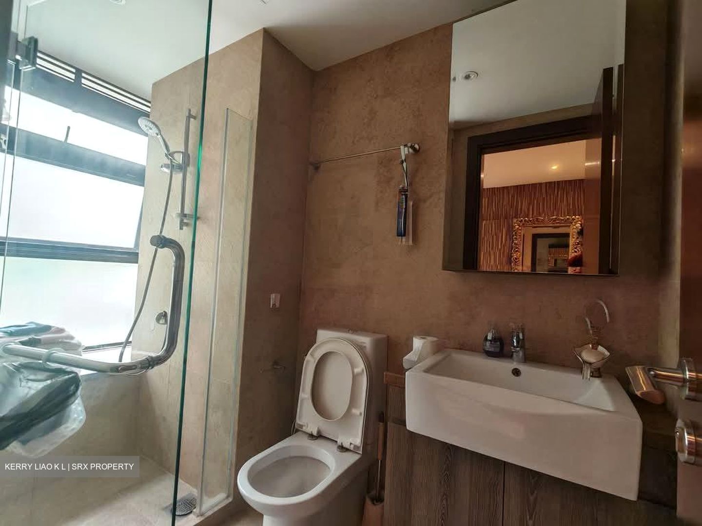 Holland Link (D10), Terrace #526577561